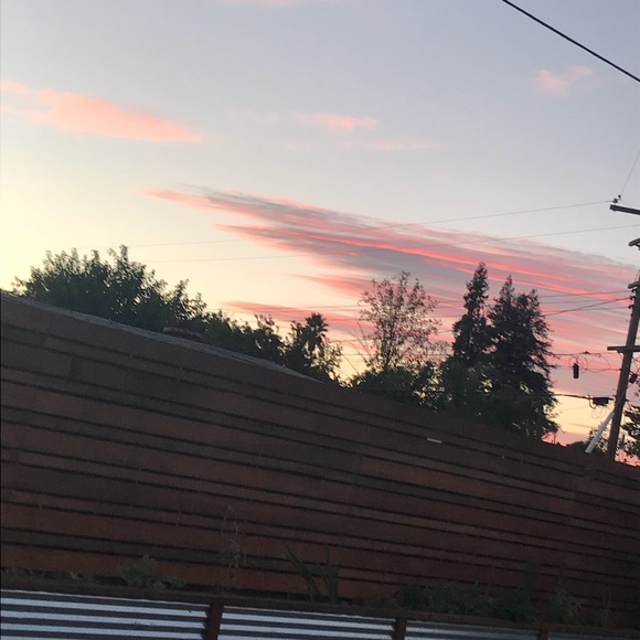 Meet your Posher, Athena - Picture 1 of 1